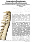 Articulacion y biomecanica de la columna cervical