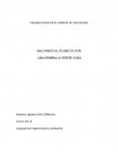 SALVANDO AL PLANETA CON UNA BOMBILLA DESDE CASA