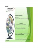 Implementación de Software ERP en mi empresa