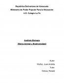 Análisis Biología (Reino Animal y Biodiversidad)
