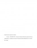 Proyecto:  MACROBUTTON