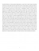 ENSAYO MENTE INDOMABLE