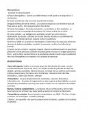 Macroentorno la empresa inditex