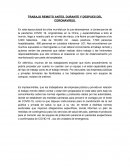 Trabajo remoto en tiempos de coronavirus