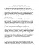 SEIS SOMBREROS PARA PENSAR