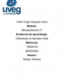 Mercadotecnia V1 Evidencia de aprendizaje: Definiendo el mercado meta