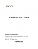 Administracion estratégica. Fruto de la vida ltda