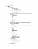 RESUMEN GUERRA INTERNACIONALISTA