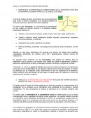 Caso 5 INDUSTRIA HOTELERA EN ESPAÑA