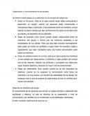 Organizacion y funcionamiento de equipos