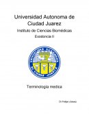 Terminologia medica