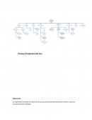 Proceso Productivo Del Oro
