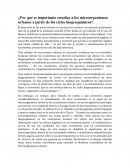 ¿Por qué es importante estudiar a los microorganismos urbanos a partir de los ciclos biogeoquímicos?