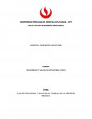 PLAN DE SEGURIDAD Y SALUD EN EL TRABAJO DE LA EMPRESA IMUDESA