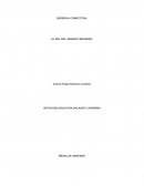 GERENCIA COMPETITIVA EL ROL DEL GERENTE MODERNO