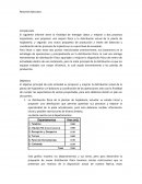 Estrategias de operaciones