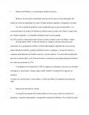 Situación de Burberry y sus principales atributos de marca