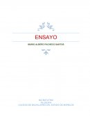 El Mexicano. El perfil del hombre y la cultura en México