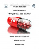 QUÍMICA BIOINÓGANICA “BIOQUIMICA DEL HIERRO”