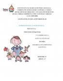 Competencias linguisticas