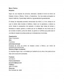 Marco Teórico Empresa