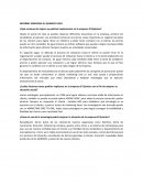 INFORME EMPRESA EL QUIMICO CASO
