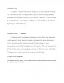 Logística dentro de una empresa Gemlsa