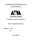 El individuo, el grupo y la organización