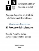 Gestión de Proyectos El Proceso del software