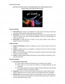 FACTORES QUE INFLUYEN EN EL COMPORTAMIENTO DEL CONSUMIDOR PARA LA ADQUISICION DE CALZADO DEPORTIVO NIKE