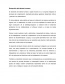 Desarrollo del talento humano