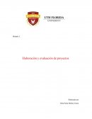 Investigacion de cotufas acarameladas