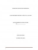 CASO COMUNIDAD CHUPANKY Y OTRA VS. LA ATLANTIS