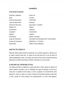 ANANMESIS. Consultorio de Psicología del P.S Alto Alianza