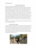 Desplome Puente molinilla