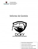 Informe Gestion . Empresa Doky