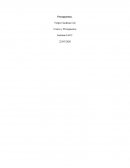 Tarea semana 7 Costos y Presupuestos