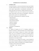 INFORME DE PLAN ESTRATÉGICO