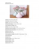 Ejercicio de unitarizacion