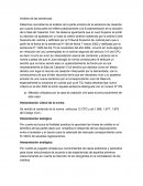 Análisis de las sentencias