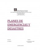 EL plan familiar de Protección Civil