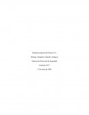 Situación empresa de Promex S.A