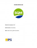 INFORME EMPRESA SQM