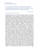 Camino al desarrollo, ¿Cuáles son los actores importantes del mercado financiero para pasar de un país en vías de desarrollo a un país desarrollado? Comparativa con países desarrollados