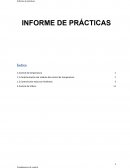 INFORME DE PRÁCTICAS. Control de temperatura