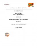 Antologia del ensayo salvador novo