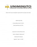 Informe sobre el proceso de diagnóstico organizacional de una empresa seleccionada