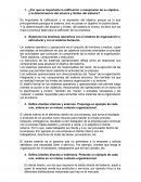 Sistema operativo de produccion