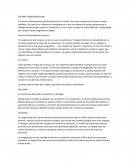 Sistema cardiovascular