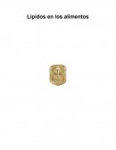 Lipidos en los alimentos